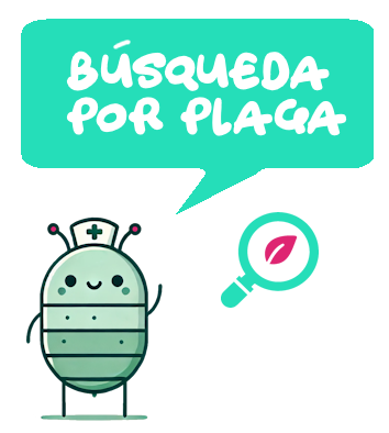 Búsqueda de Insectos Auxiliares Según Plaga